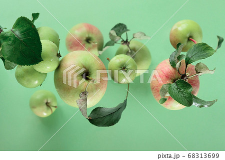 Flying in air Green fresh whole and leaves over green background and light, food levitation concept 68313699