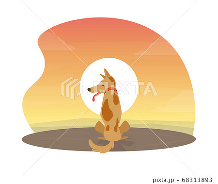 Cute Dog Sitting at Beautiful Sunset Flat Vector Illustration Cute Dog Sitting at Beautiful Sunset Flat Vector Illustration 68313893