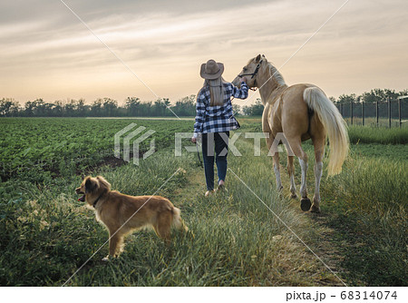 young blonde girl in a hat and a plaid shirt walks with a horse and dog in the evening on a farm 68314074