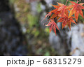 川沿いで紅葉で色付く葉っぱを眺める 68315279