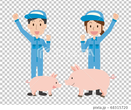 養豚業男女と豚 68315720
