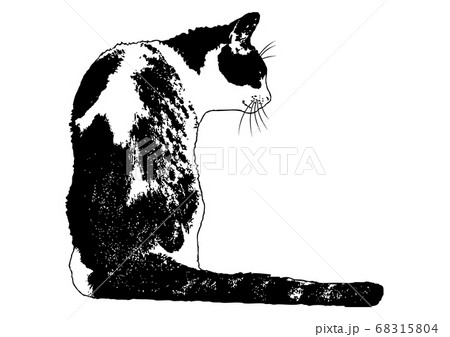 猫 イラスト 白黒 のイラスト素材