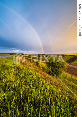 Spring rapeseed and small farmlands fields Spring rapeseed and small farmlands fields 68315969