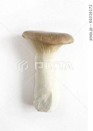 エリンギ 68316172