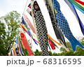 風になびく大量の鯉のぼり 68316595