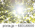 目標に向かって突き進む 68316600