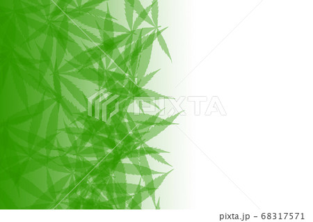 Green Cannabis Leaves Background Drug Marijuanaのイラスト素材