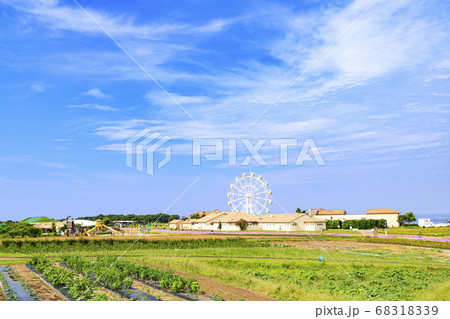 湘南横須賀ソレイユの丘（夏） 68318339