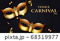 venice grass carnival grass banner 68319977
