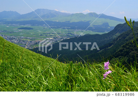 夏の阿蘇外輪山 鮮やかな緑の大地と青い空の癒しの風景 夏の阿蘇外輪山 鮮やかな緑の大地と青い空の癒しの風景 68319986