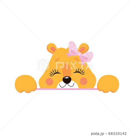 Cartoon Cute Little Animal Lion Vector Illustration 68320142