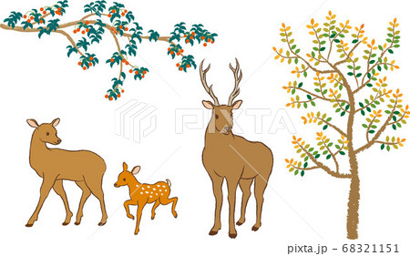 秋の森の鹿の親子のイラスト素材