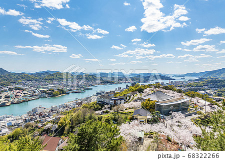 広島県尾道市 桜が満開の尾道の風景 尾道市立美術館越しに見る尾道水道 広島県尾道市 桜が満開の尾道の風景 尾道市立美術館越しに見る尾道水道 68322266