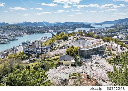 広島県尾道市　桜が満開の尾道の風景　尾道市立美術館越しに見える尾道水道 68322268