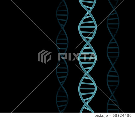 DNA molecules structure on black background DNA molecules structure on black background 68324486