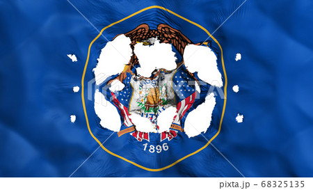 Holes in Utah state flag 68325135