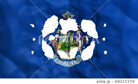 Holes in Maine state flag Holes in Maine state flag 68325559