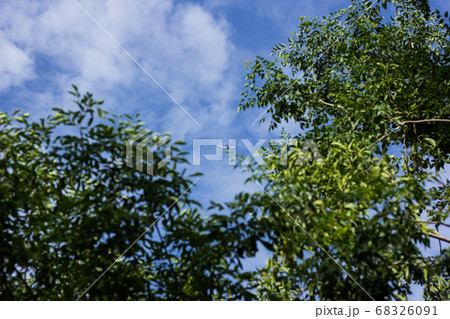 Boeing 737-800 of Thai lionair airline. 68326091