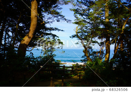 北茨城・五浦海岸～碧い海と緑の松林が織りなす、絵画のような撮影ポイント 68326506