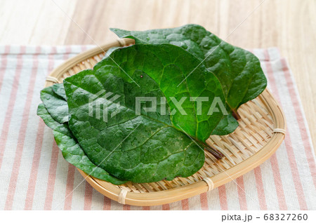 ツルムラサキの葉　家庭菜園 68327260