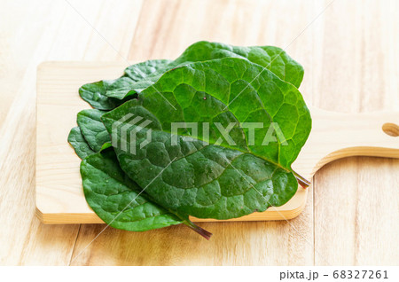 ツルムラサキの葉　家庭菜園 68327261