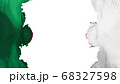 Blasted Algeria flag 68327598