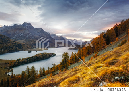 Autumn lake Sils in Swiss Alps Autumn lake Sils in Swiss Alps 68328398