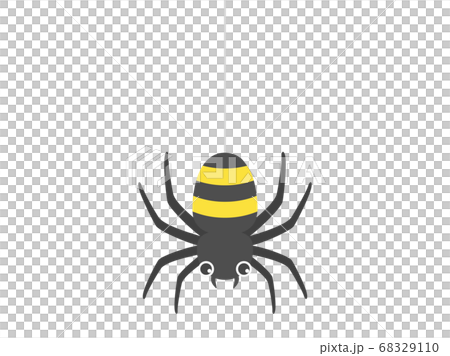 Spider illustration 68329110