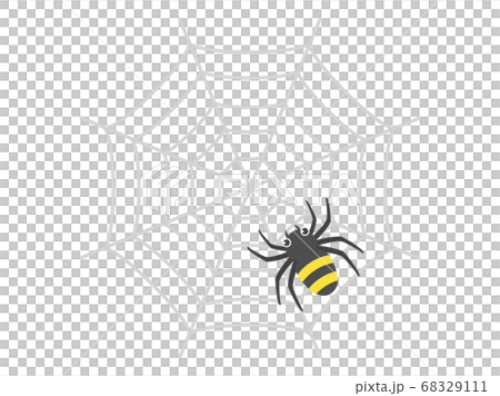 Illustration of spider web Illustration of spider web 68329111