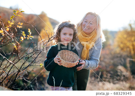 Small girl with grandmother collecting rosehip fruit in autumn nature. Small girl with grandmother collecting rosehip fruit in autumn nature. 68329345
