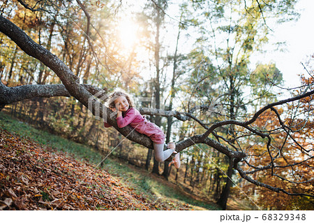 Small girl lying on tree branch in autumn forest, having fun. Small girl lying on tree branch in autumn forest, having fun. 68329348