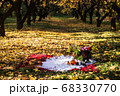 Basket with leaves and pumpkin candle in forest 68330770