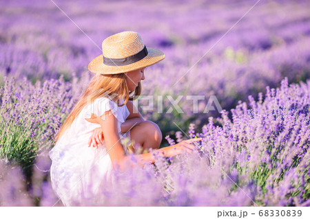 Woman in lavender flowers field in white dress and hat Woman in lavender flowers field in white dress and hat 68330839