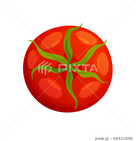 Tomato. Fresh healthy red tomato made in flat style. Single tomato. Vegetarian food. Vegetable from the farm. Organic food. Vector illustration of tomato 68332090