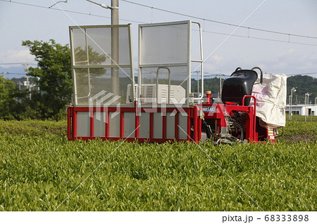 乗用茶刈機（狭山茶：茶畑）の写真素材 [68333898] - PIXTA