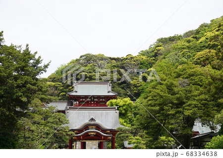 鎌倉八幡宮 鎌倉八幡宮 68334638