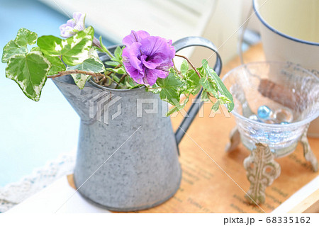 ブリキの容器に挿した植物 68335162