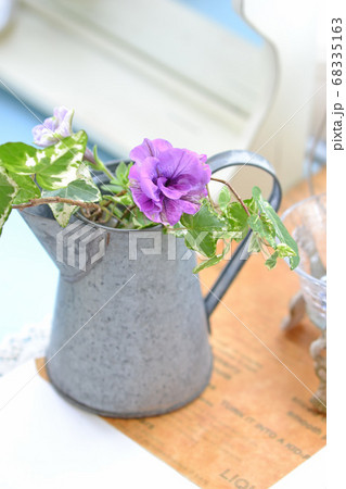 ブリキ缶に挿した植物 68335163