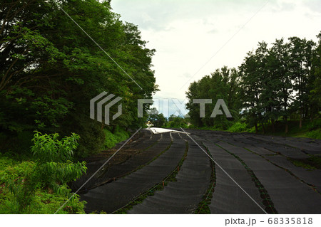 長野・大王わさび農場 68335818