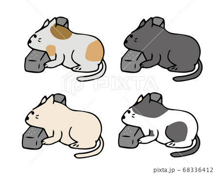 駐車場の止め石に顎を乗せる猫 4匹 駐車場の止め石に顎を乗せる猫 4匹 68336412