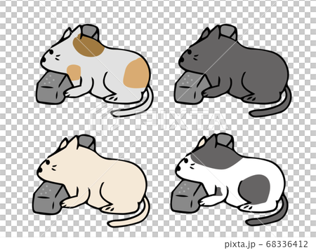 駐車場の止め石に顎を乗せる猫 4匹 駐車場の止め石に顎を乗せる猫 4匹 68336412