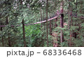 大自然の中のつり橋で遊ぶ 68336468