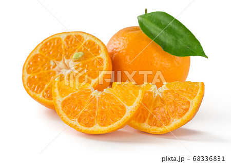 紀州産完熟ポンカン 68336831