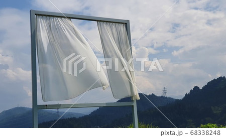 自然 屋外 室外 68338248