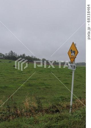 北海道　道東地方　牛横断注意道路標 68338464