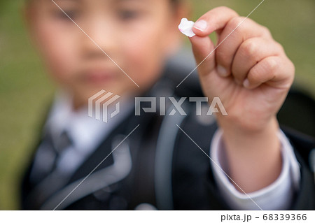 6 years old 68339366