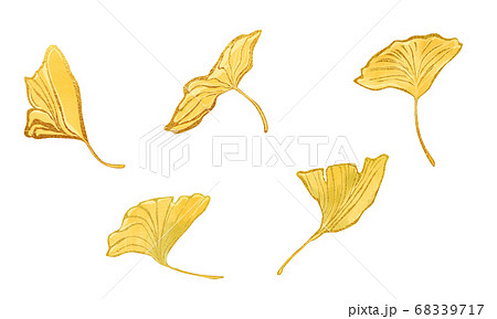金のフチの銀杏素材水彩イラストのイラスト素材