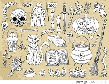Set of scary Halloween traditional symbols and objects with skull, cat, broom, pot and pumpkin. Hand drawn vector illustration for coloring. Doodle clip art collection  68339805