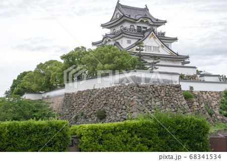 新緑に囲まれた岸和田城の景色 68341534
