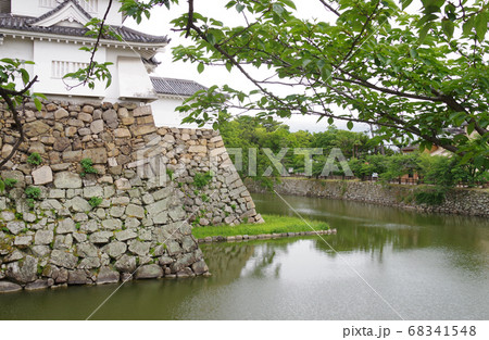 岸和田城の堀と石垣の景色 岸和田城の堀と石垣の景色 68341548
